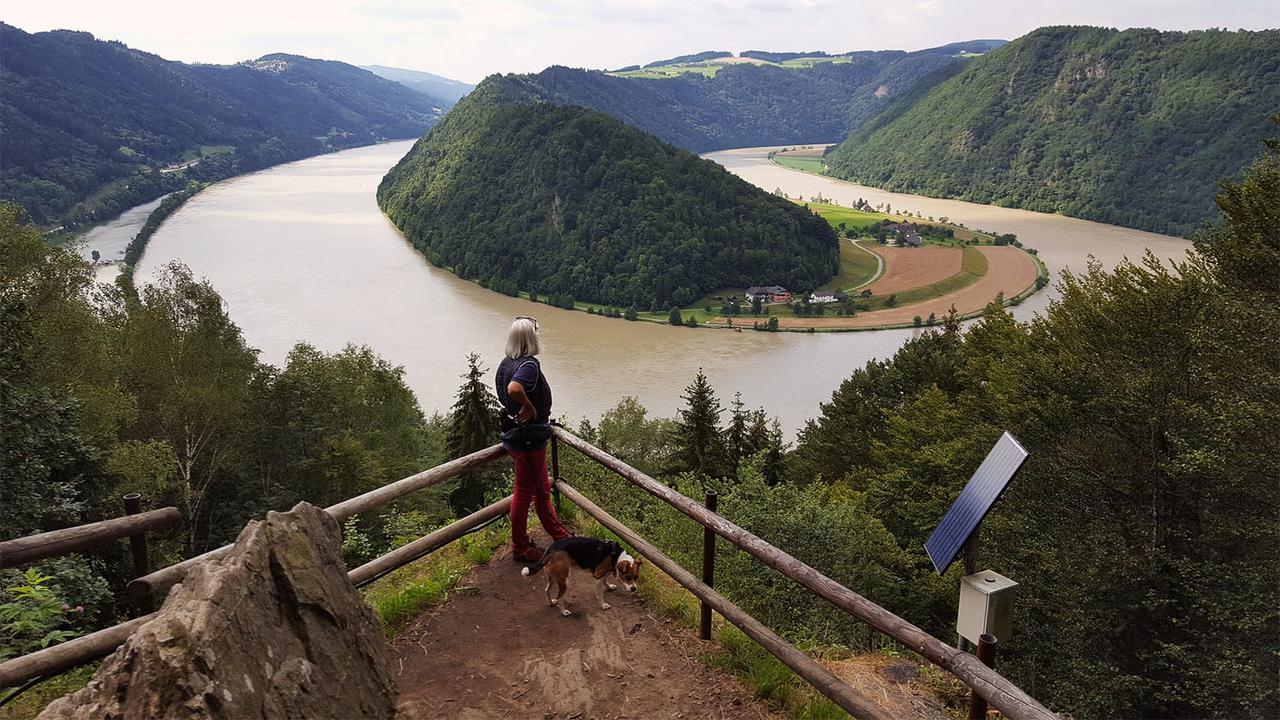 Gasthof 'Zum Alten Turm' Haslach an der Mühl Εξωτερικό φωτογραφία